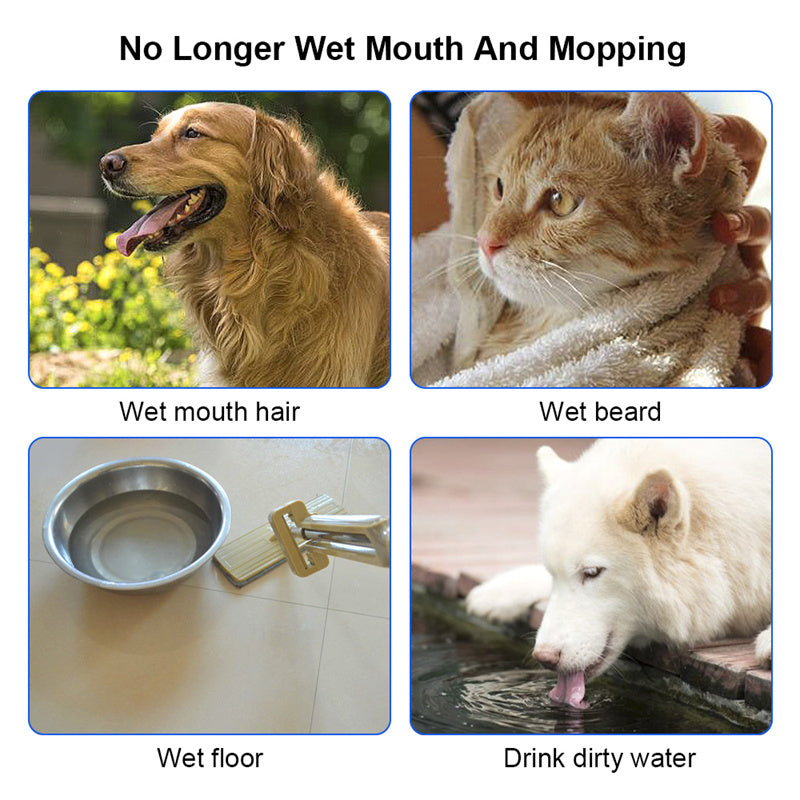 AquaPaws™ 1.5L Pet Fountain & Water Bowl – Spill-Free Design