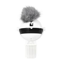 PurrPlay Co™ Motion Cat Toy — Interactive Electronic Ball
