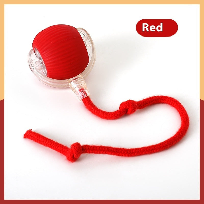 RolliPaws™ Interactive Cat Toy Ball – Super Drive Rolling Fun