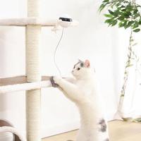 PurrPlay Co™ Motion Cat Toy — Interactive Electronic Ball