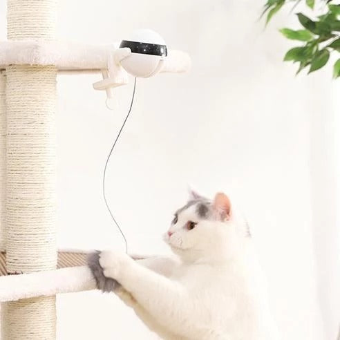 PurrPlay Co™ Motion Cat Toy — Interactive Electronic Ball