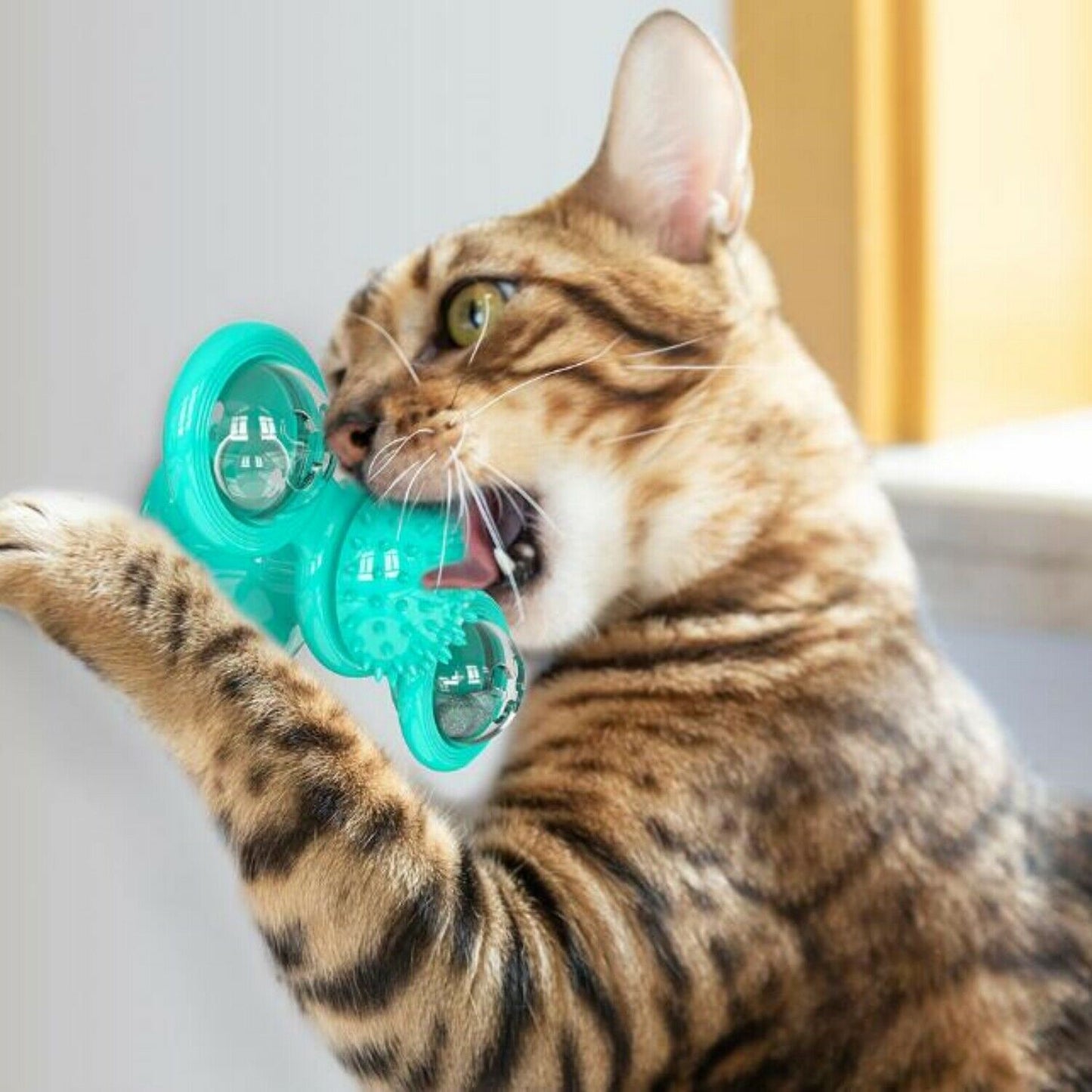 FelineFun™ Rotating Spinner Cat Toy – Teeth & Massage Ball
