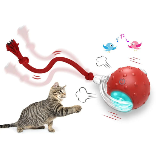 RolliPaws™ Interactive Cat Toy Ball – Super Drive Rolling Fun
